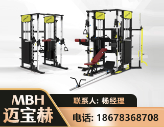 邯郸多功能综合训练器