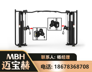 邯郸大飞鸟训练器